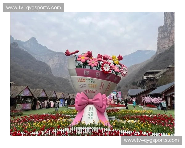 郁金香与阿尔卑斯：一场跨越山海的足球与文化对决